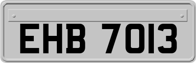 EHB7013
