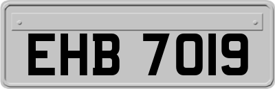 EHB7019