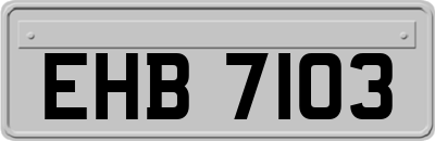 EHB7103