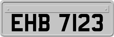 EHB7123