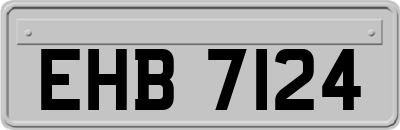 EHB7124