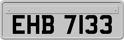 EHB7133