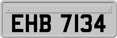 EHB7134