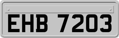 EHB7203