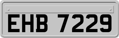 EHB7229