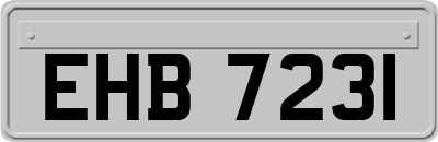 EHB7231