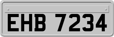 EHB7234