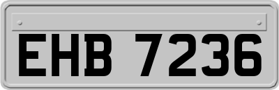 EHB7236