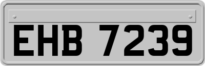 EHB7239