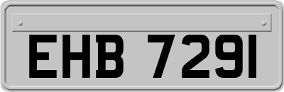 EHB7291