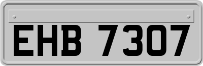 EHB7307