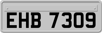EHB7309