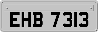 EHB7313