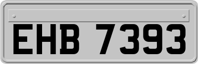 EHB7393