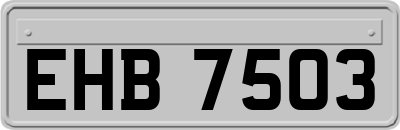 EHB7503