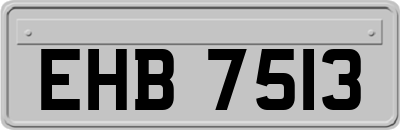 EHB7513