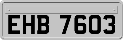 EHB7603