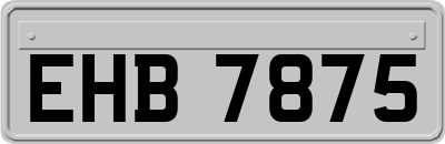 EHB7875