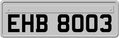EHB8003