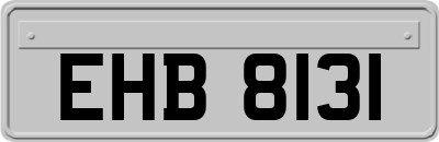 EHB8131