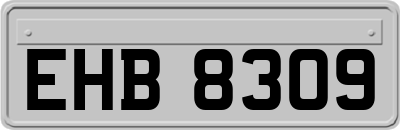 EHB8309