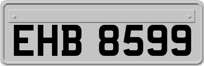 EHB8599