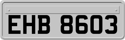 EHB8603