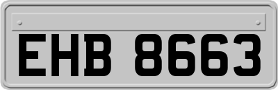 EHB8663