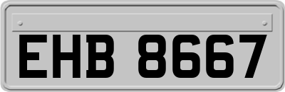 EHB8667