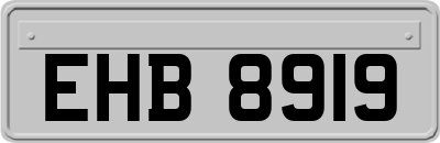 EHB8919