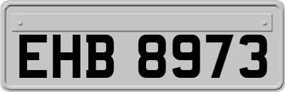 EHB8973