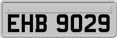 EHB9029