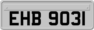 EHB9031