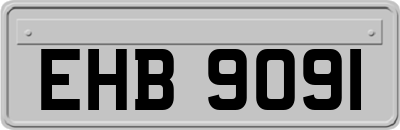 EHB9091