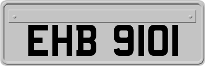 EHB9101
