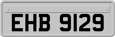 EHB9129