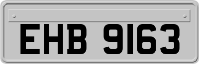 EHB9163