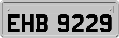 EHB9229