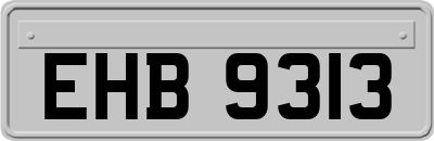 EHB9313