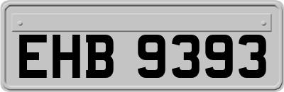 EHB9393