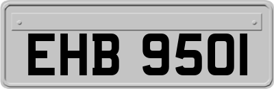 EHB9501