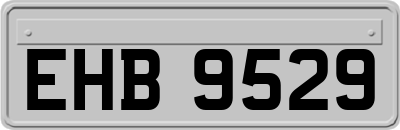 EHB9529