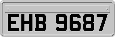 EHB9687