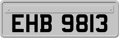 EHB9813