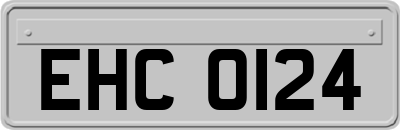 EHC0124