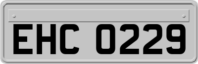 EHC0229