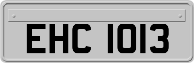 EHC1013