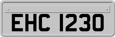 EHC1230