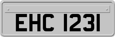 EHC1231