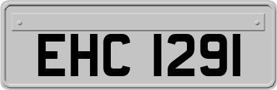 EHC1291